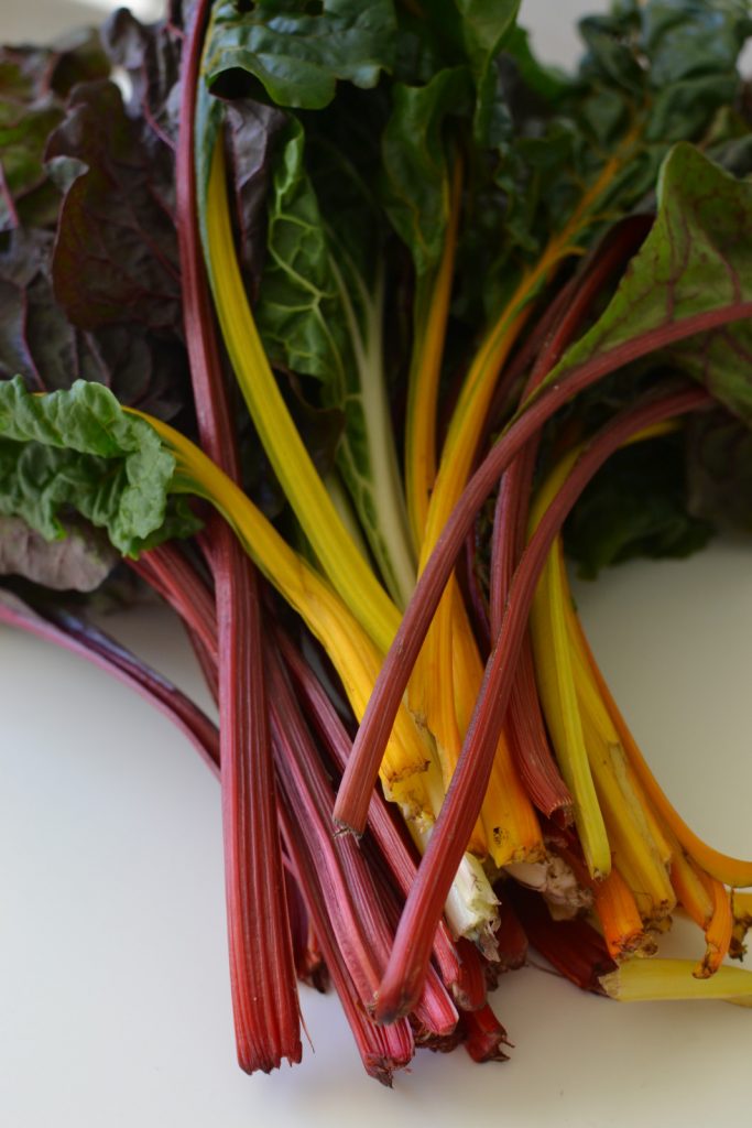Yep, I came home from the farmer's market and took a picture of my swiss chard. Guilty.