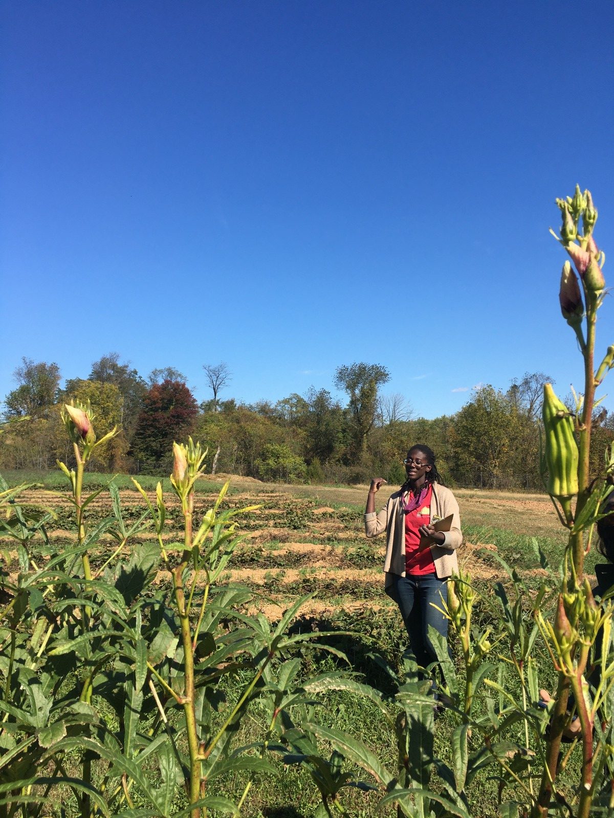 Farm to Food Bank