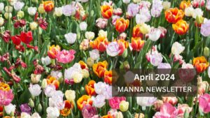 April enewsletter banner of colorful tulips