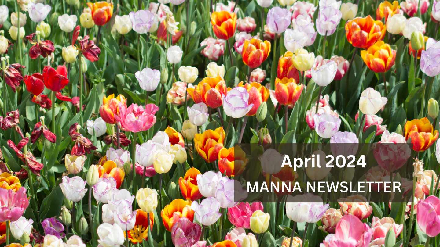 April enewsletter banner of colorful tulips
