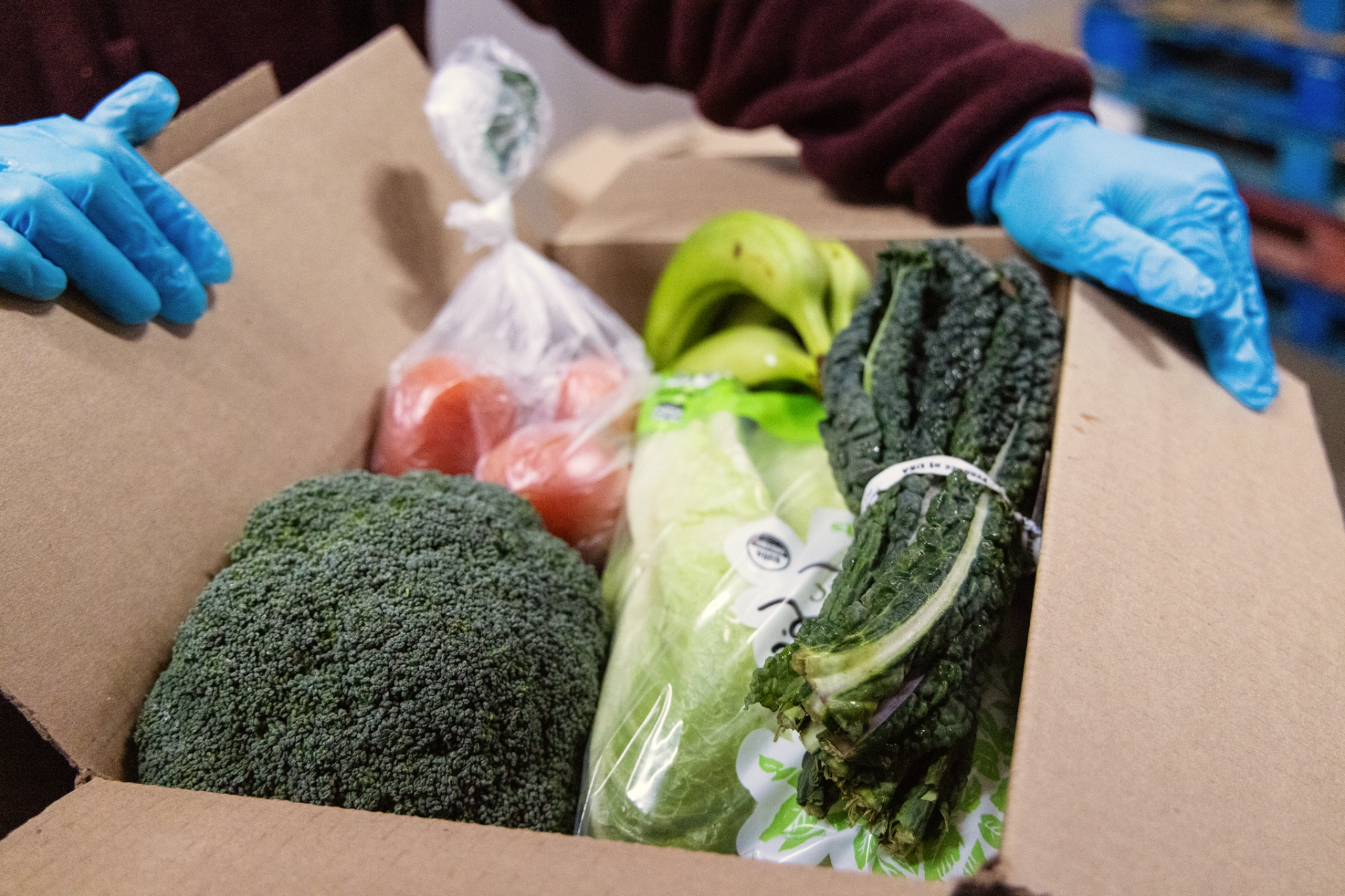 Box of fresh vegetables packed for distribution