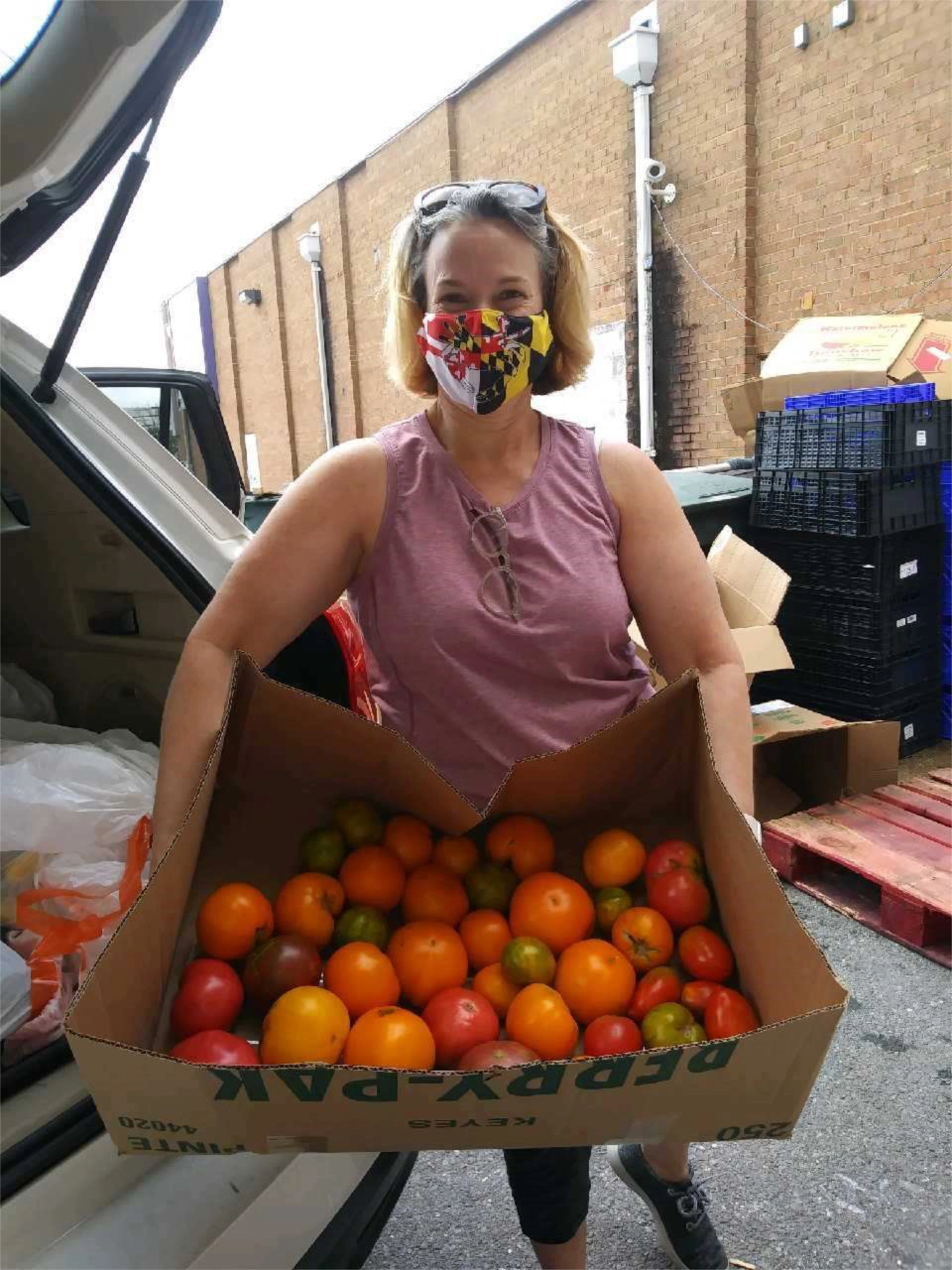 Manna volunteer holding box of rescued tomatoes