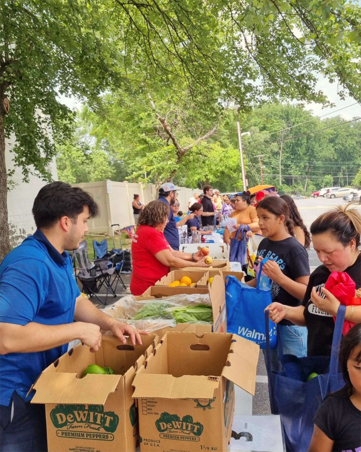 Manna staff distributing fresh food to families