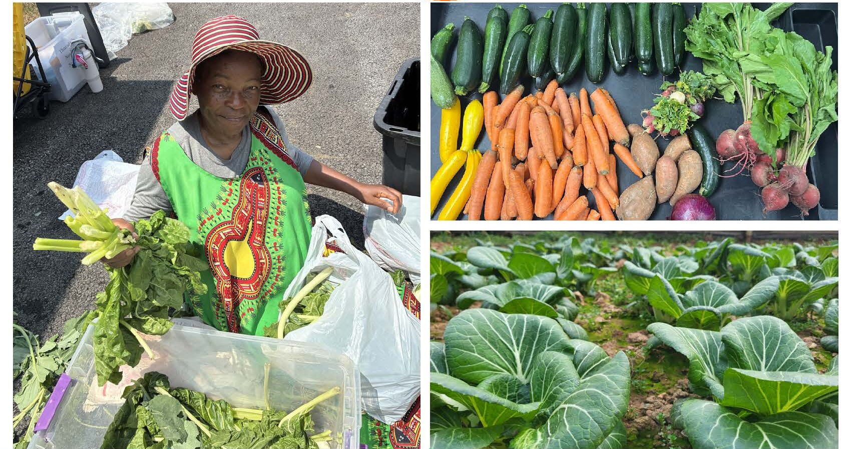 Farm to Food Bank FY2026 Impact Report